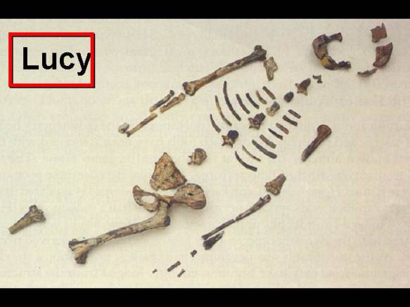 Part-2b-Cave-Men.jpgSlide50